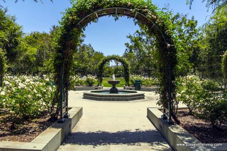 fountain