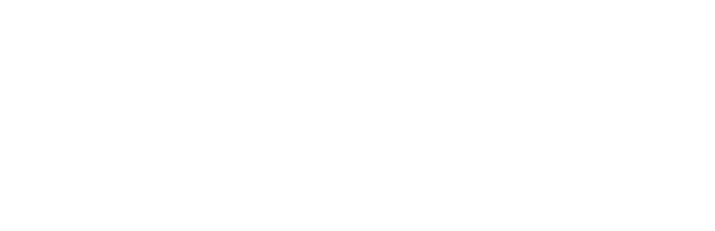 Palm Realty Boutique Logo